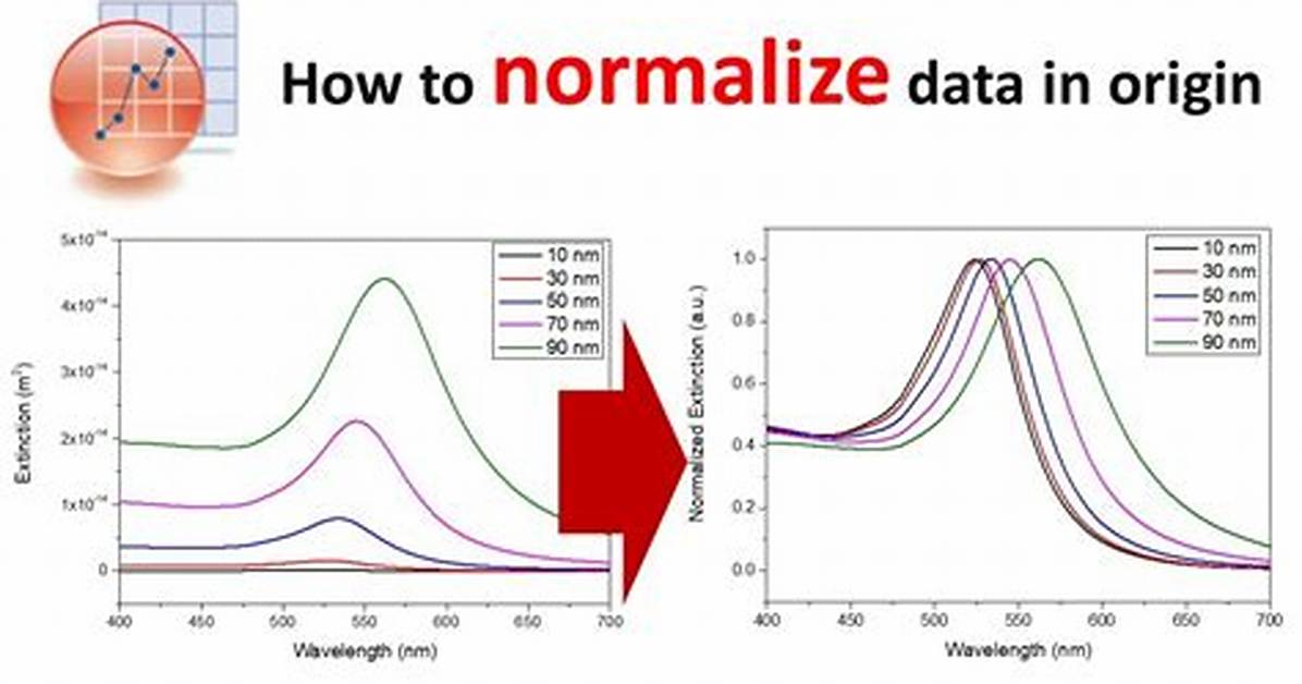 What Does a Normalizer Do?