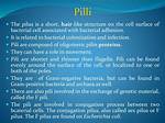 What Does a Pilus