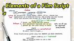 What Does a Script Include