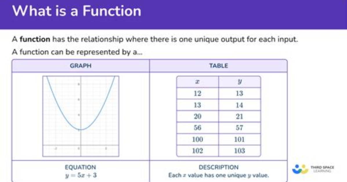 What Does a Simple Function Actually Mean?