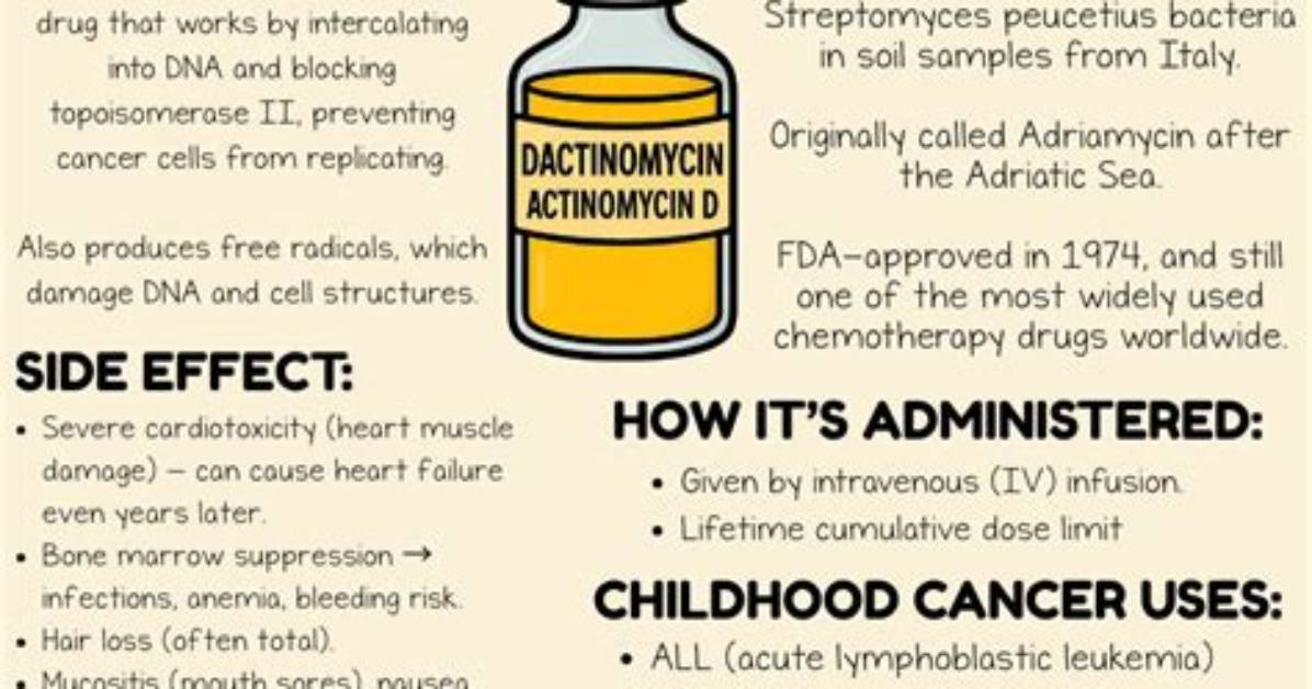 What Does Actinomycin Do?