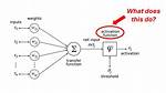 What Does Activation Function Do in Neural Network? Check This out | Neural Network Activation Functions Are a Crucial Component of Deep Learning