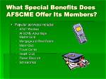 What Does Afscme Do?
