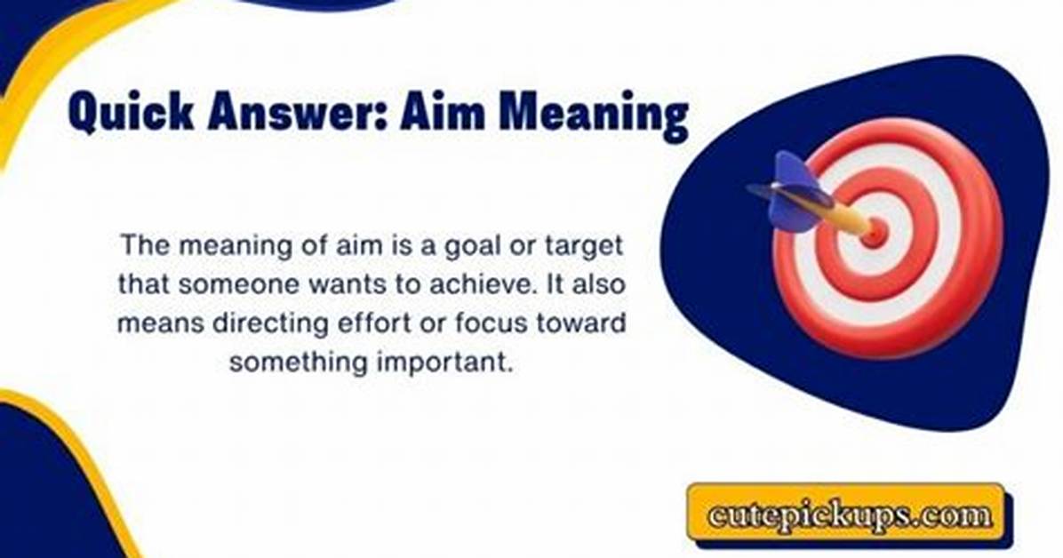 What Does Aim Mean