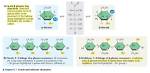 What Does Alpha Cellulose Do?