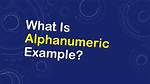 What Does Alphanumeric Mean Example?