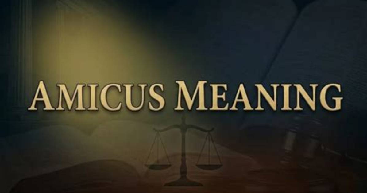 What Does Amicus Mean?