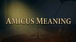 What Does Amicus Mean?