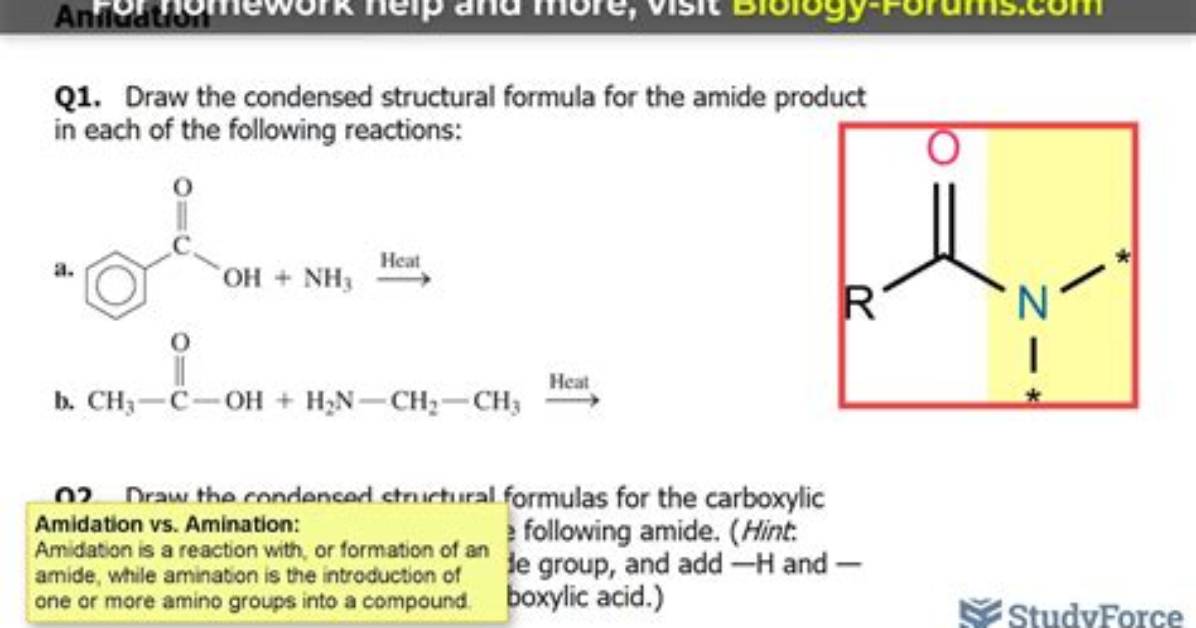 What Does Amidation Mean?