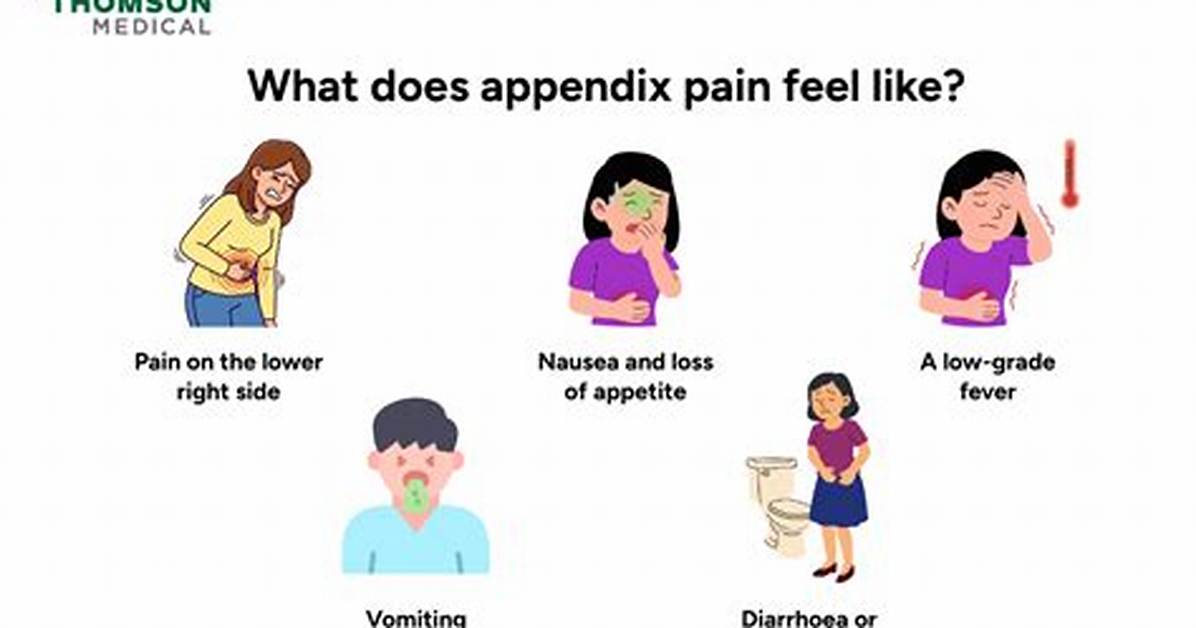 What Does an Appendix Attack Feel Like