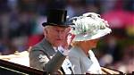 What Does an Ascot Represent?