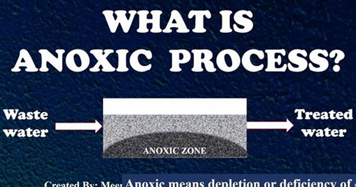 What Does Anoxic Mean?