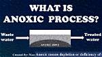 What Does Anoxic Mean?