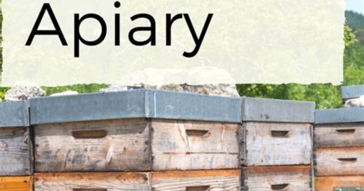 What Does Apiary Mean?