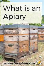 What Does Apiary Mean?