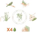 What Does Arundo Mean?