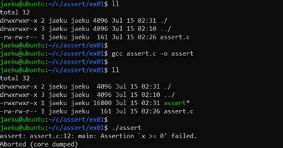 What Does Assert () Do in C