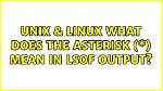What Does Asterisk Mean in Linux?