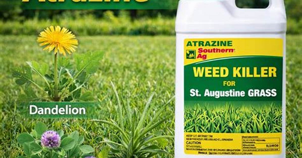 What Does Atrazine Kill?