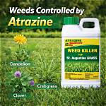 What Does Atrazine Kill?