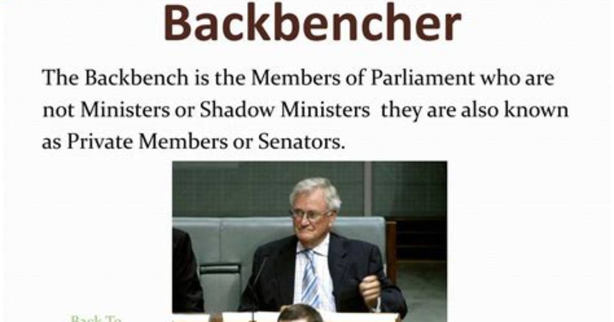 What Does Backbencher Mean?