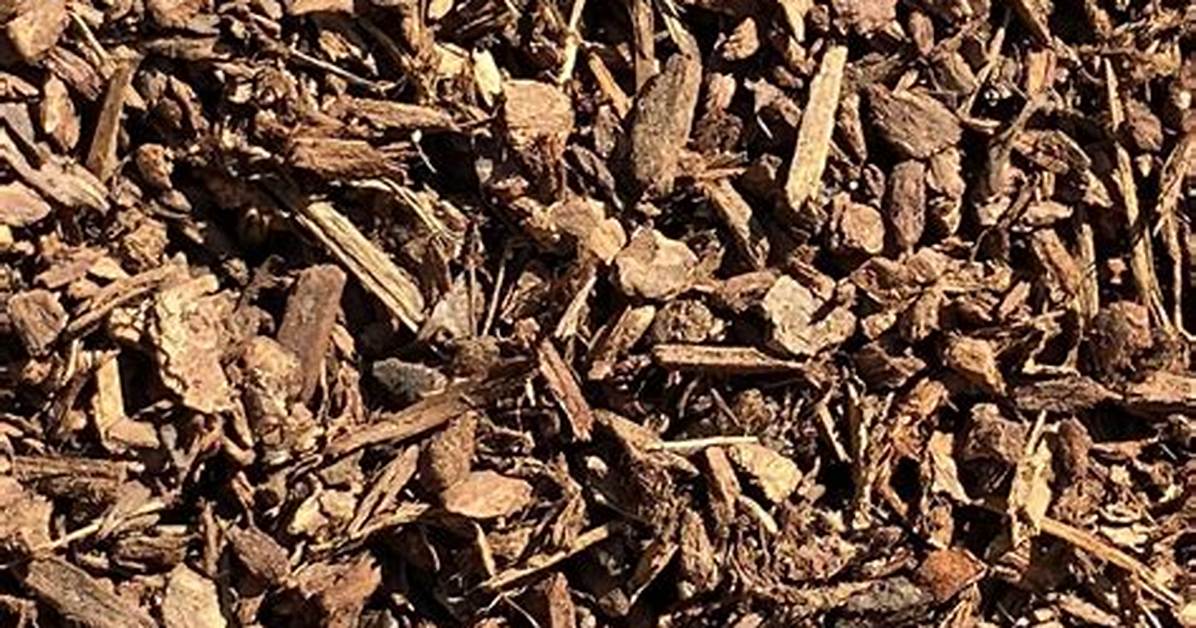 What Does Bark Do for Soil