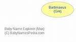 What Does Bartimaeus Mean?