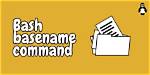 What Does Basename Do in Bash?