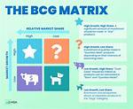 What Does Bcg Look for?