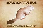 What Does Beaver Represent?