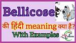 What Does Bellicosity Mean?