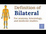 What Does Bilateral Mean