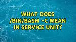What Does /Bin/Bash -C Mean in Service Unit?