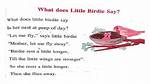 What Does Birdy Mean?