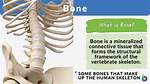 What Does Bone to Bone Mean?