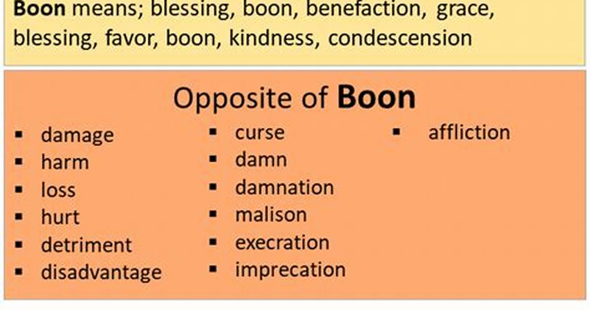 What Does Boon Mean