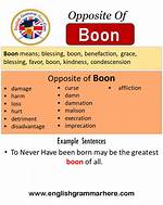 What Does Boon Mean