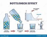 What Does Bottleneck Effect Mean