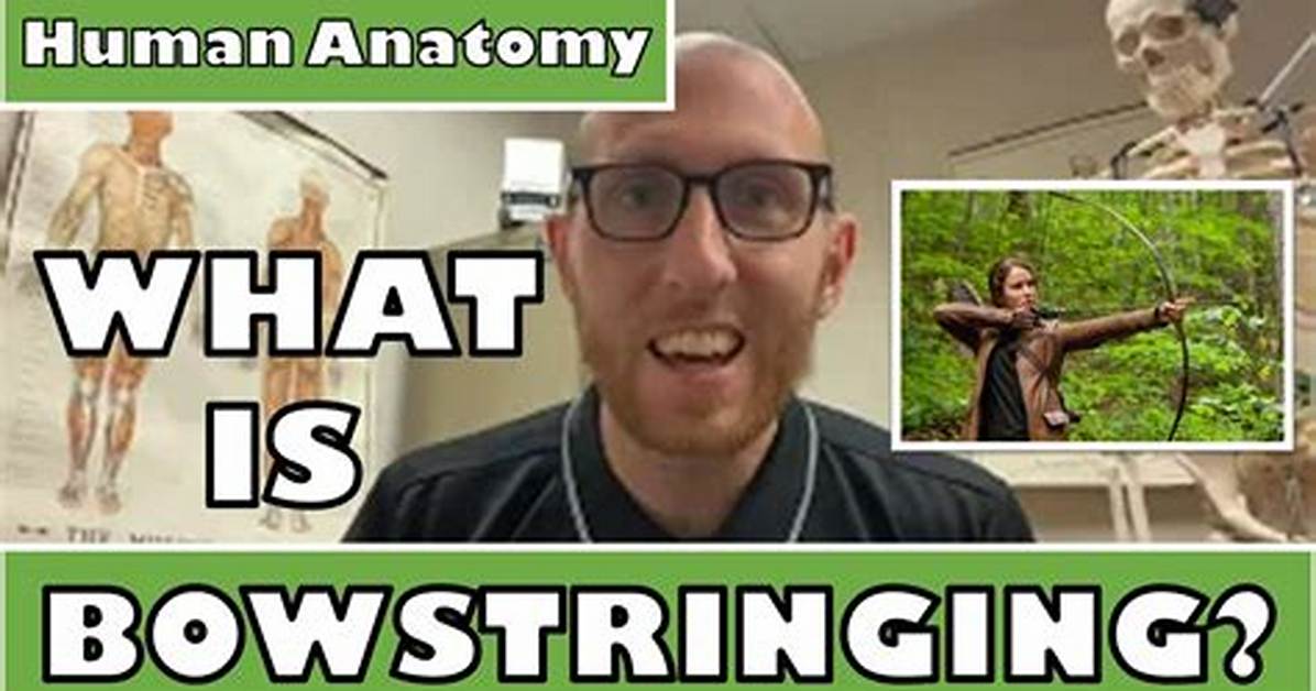 What Does Bowstringing Meaning?