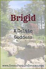 What Does Brigid Mean?