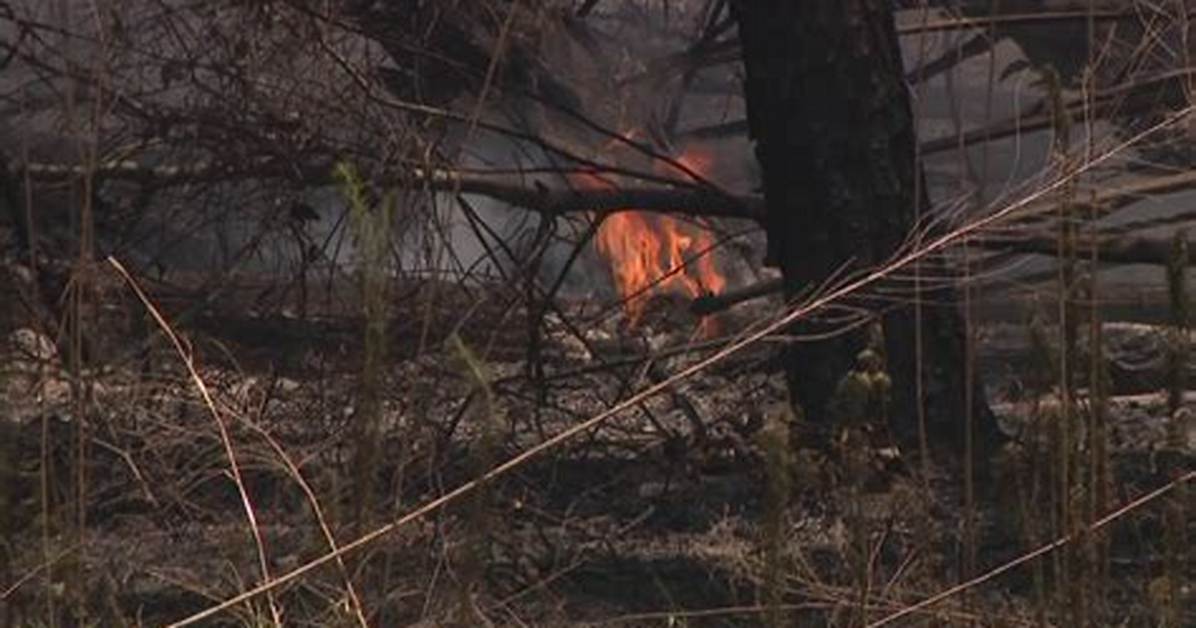 What Does Brushfire Do?