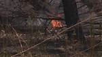 What Does Brushfire Do?