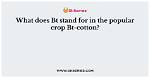 What Does Bt Stand For