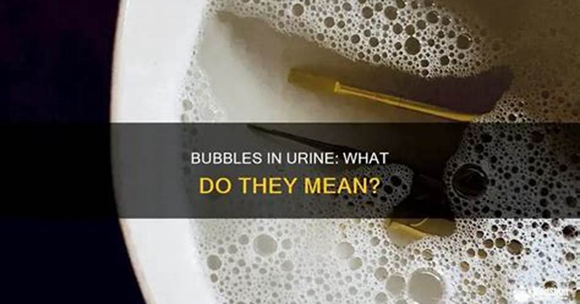 What Does Bubbles Mean?