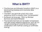 What Does Bwt Mean
