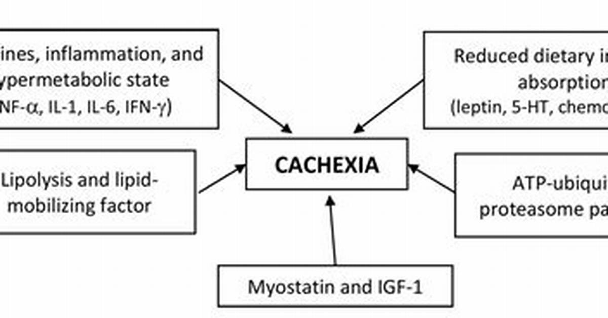 What Does Cachexia Mean?