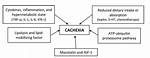 What Does Cachexia Mean?