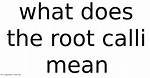 What Does Calli Mean?