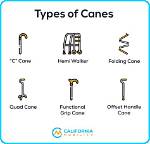 What Does Canes Mean?