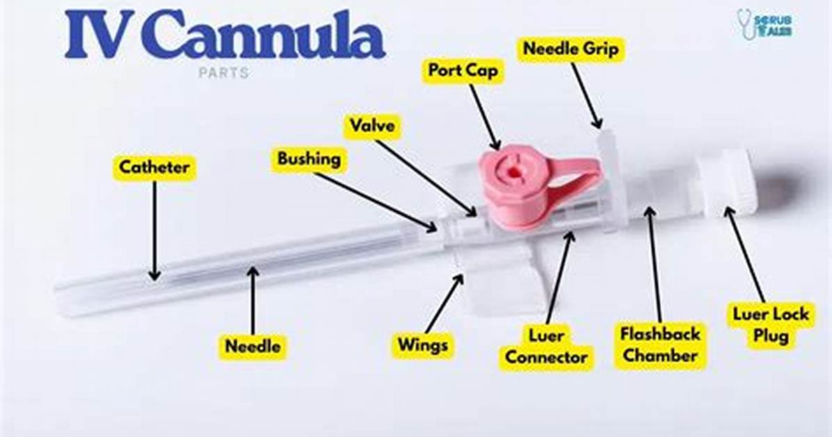 What Does Cannula Mean?